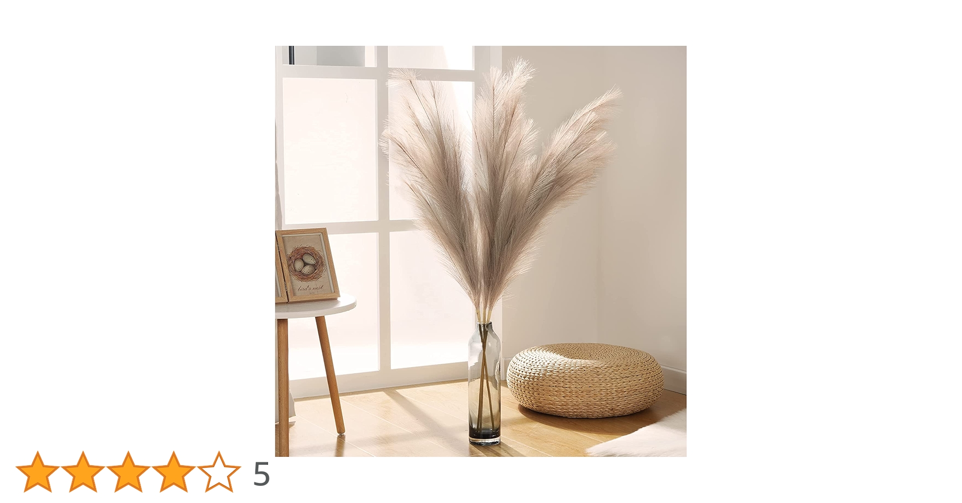 Fluffy　パンパスグラス 71+ZX+B5bPL.jpg_BO30,255,255,